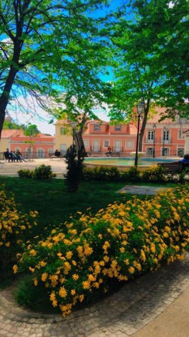 Apartamento Com Boa Luz E Localizacao Em Lisboa. Apartment Екстериор снимка